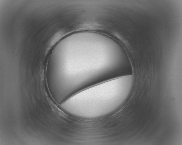 X0000080741459200612150919