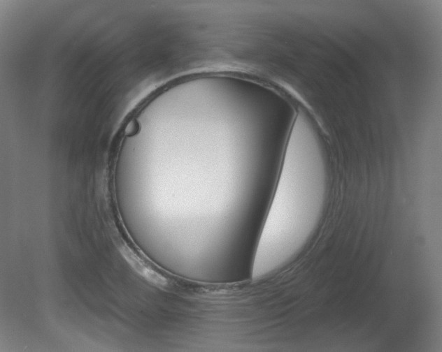X0000080741460200612150919
