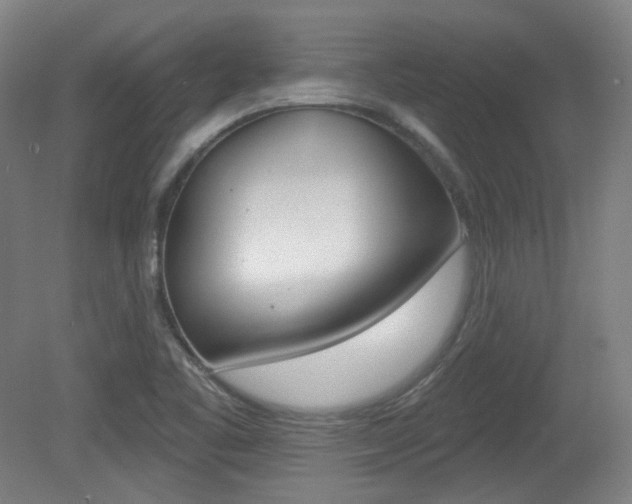 X0000080741461200612150919