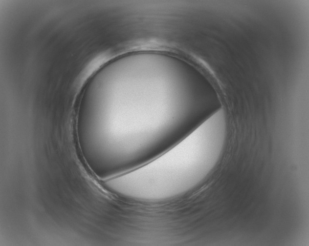 X0000080741463200612150919