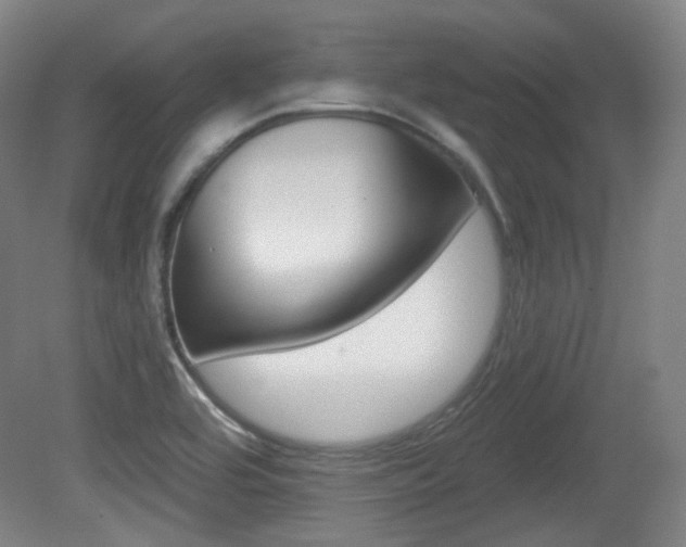 X0000080741464200612150919