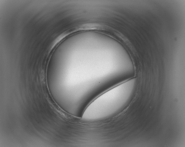 X0000080741465200612150919