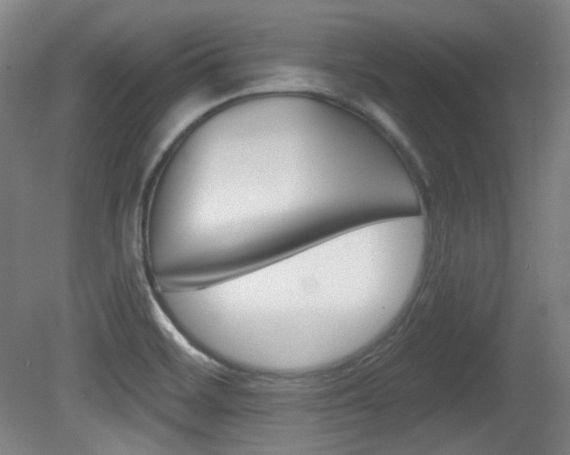 X0000080741468200612150919