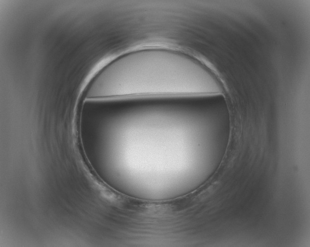 X0000080741469200612150919