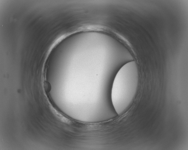 X0000080741471200612150919