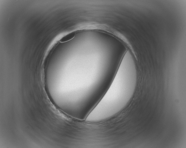 X0000080741472200612150919