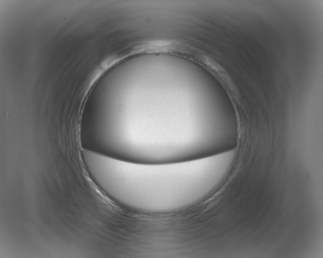 X0000080741473200612150919