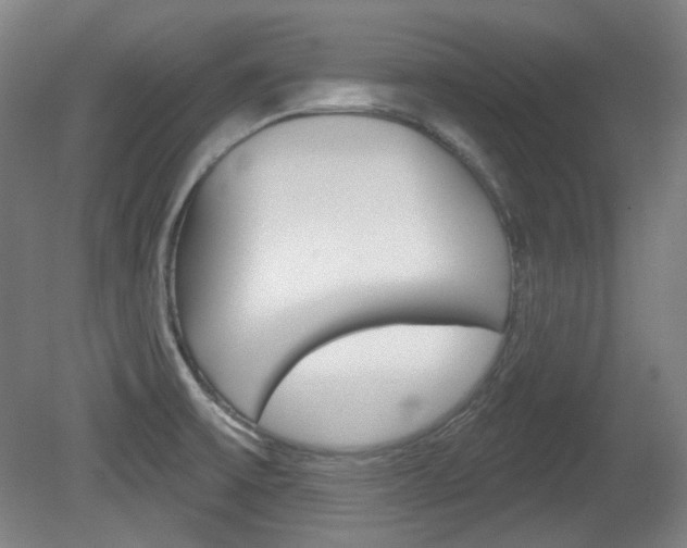 X0000080741475200612150919