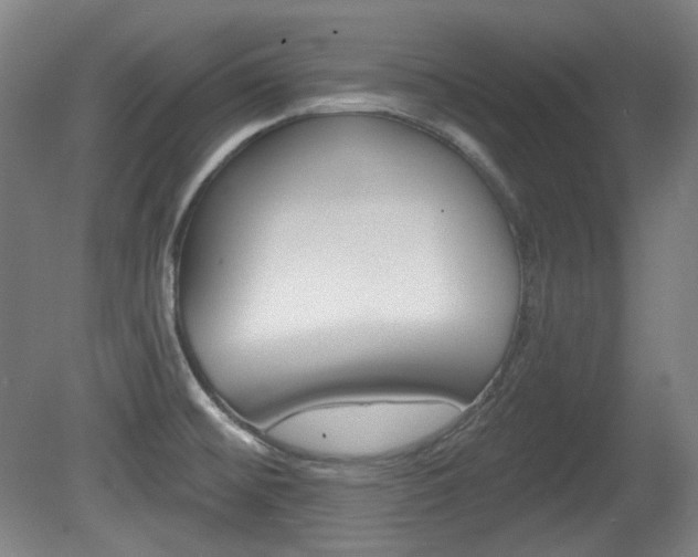X0000080741476200612150919