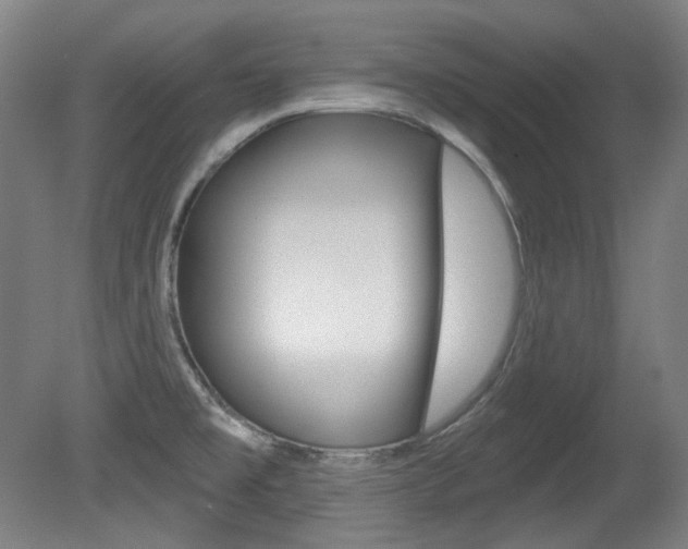 X0000080741477200612150919