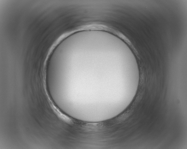 X0000080741478200612150919