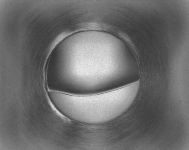 X0000080741479200612150919