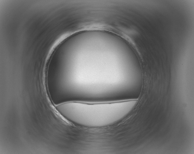 X0000080741480200612150919