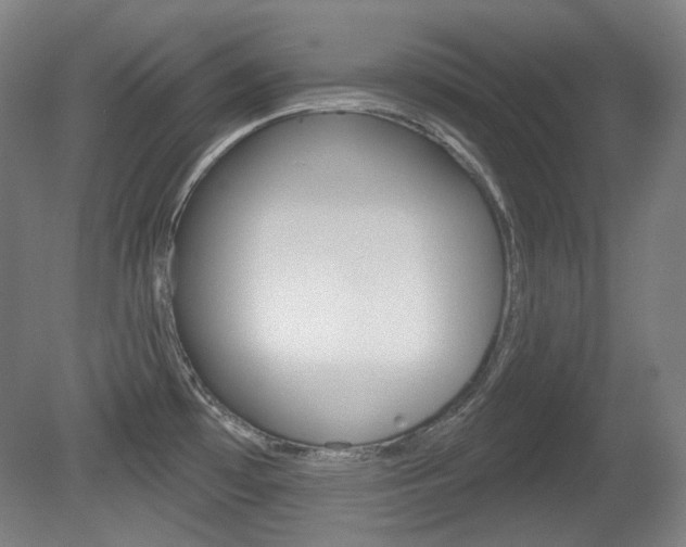 X0000080741481200612150919