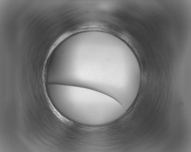 X0000080741482200612150919