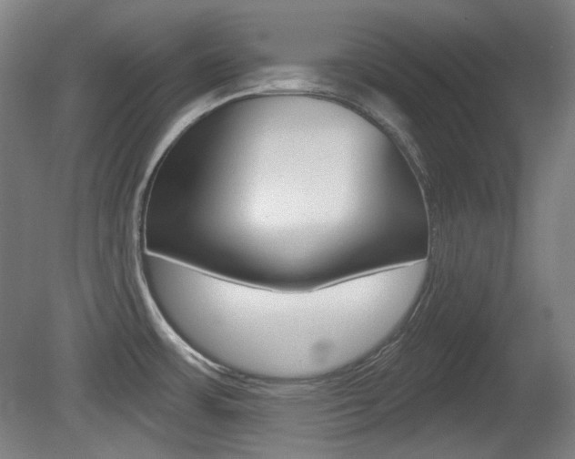 X0000080741483200612150919