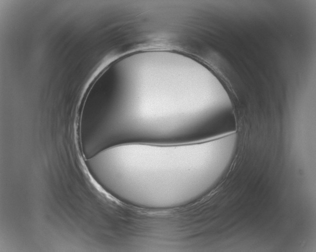 X0000080741484200612150919