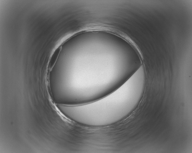X0000080741485200612150919