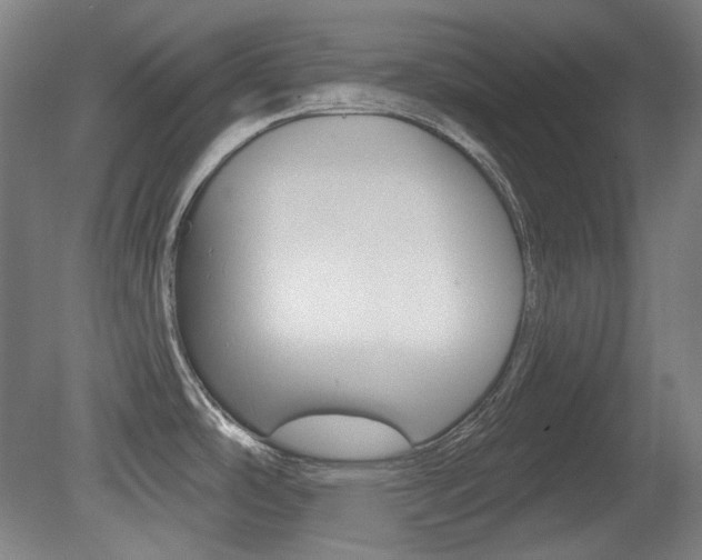 X0000080741486200612150919