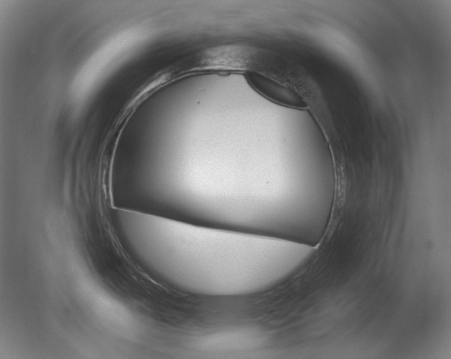 X0000080741487200612150919