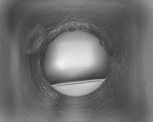 X0000080741489200612150918