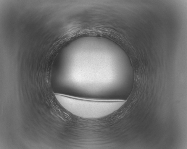 X0000080741490200612150918
