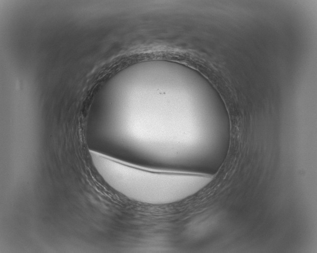 X0000080741493200612150918