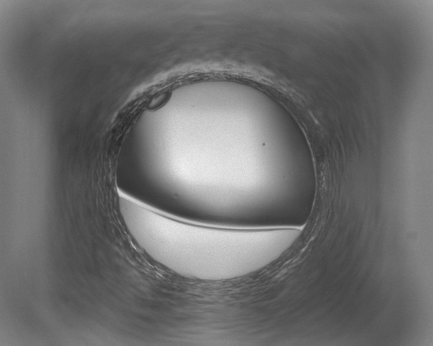 X0000080741494200612150918