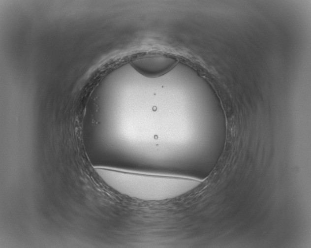 X0000080741495200612150918