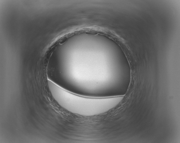 X0000080741496200612150918