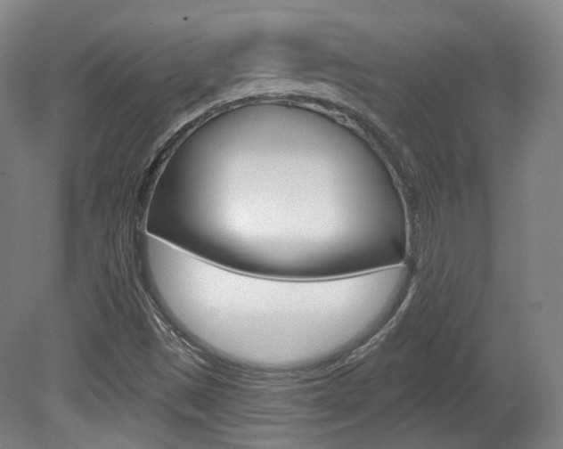 X0000080741497200612150918