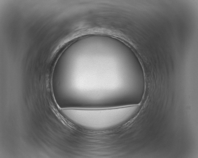 X0000080741499200612150918