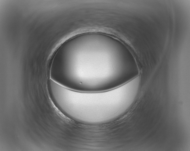 X0000080741500200612150918