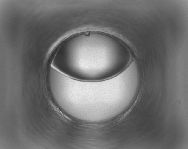 X0000080741502200612150918