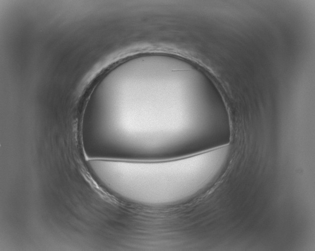 X0000080741503200612150918