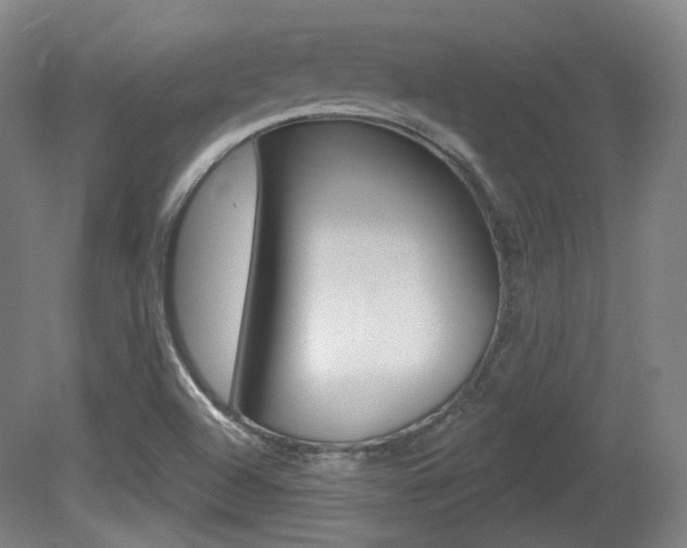 X0000080741504200612150918