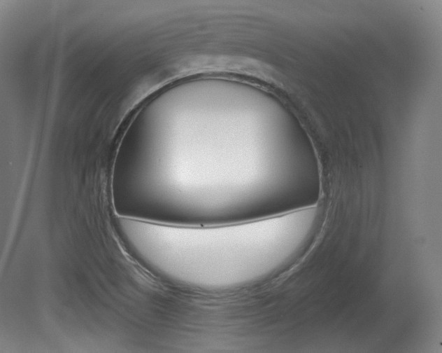 X0000080741505200612150918