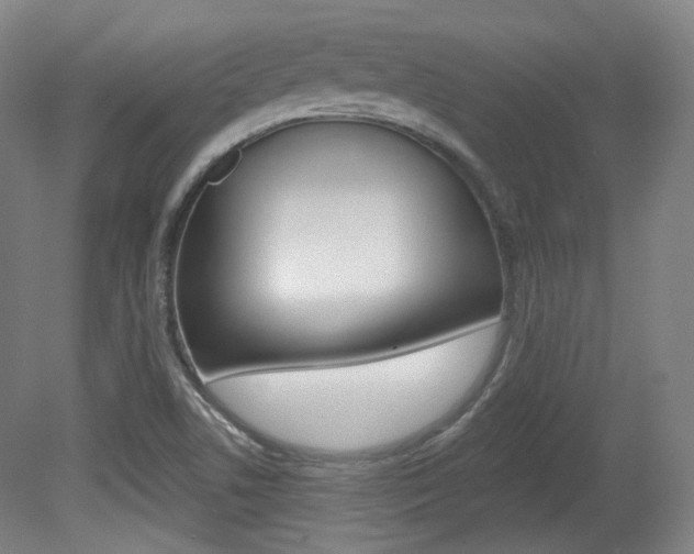 X0000080741506200612150918