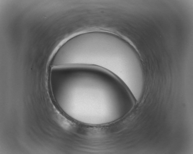 X0000080741508200612150918