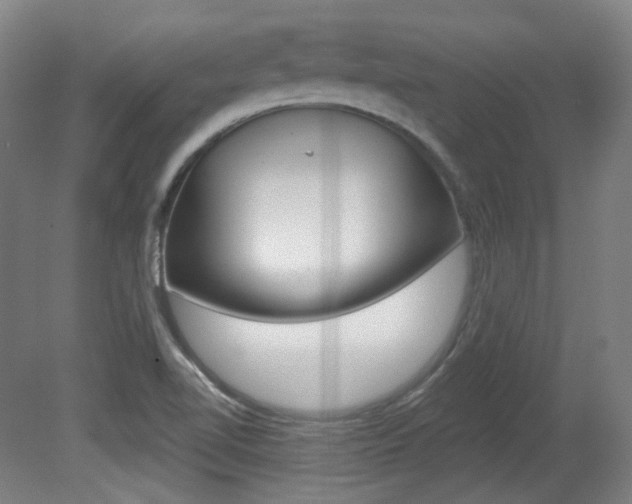 X0000080741510200612150919