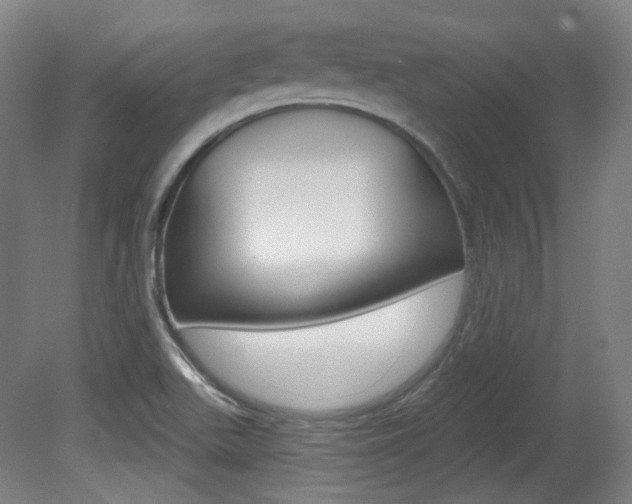 X0000080741511200612150919