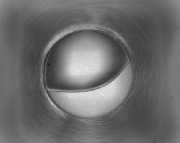 X0000080741512200612150919