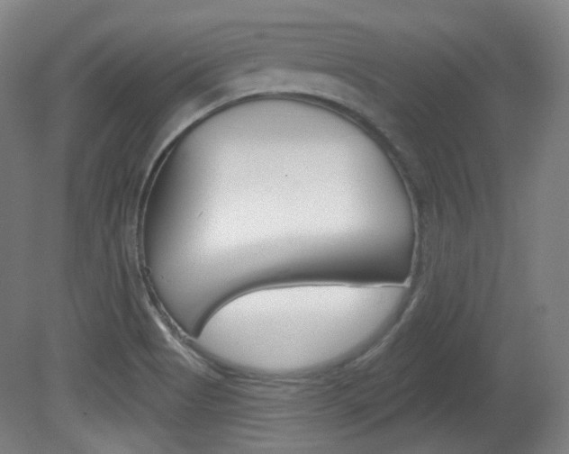 X0000080741513200612150919
