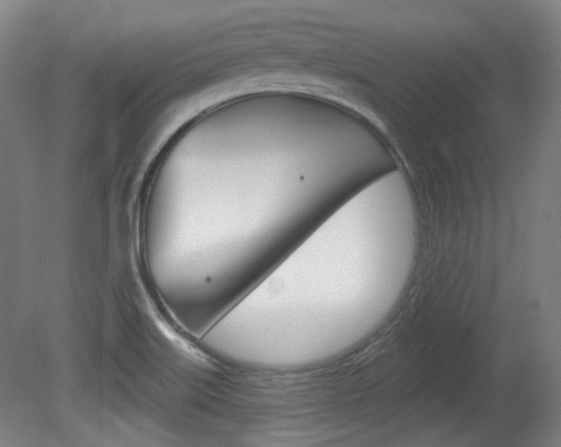 X0000080741515200612150919