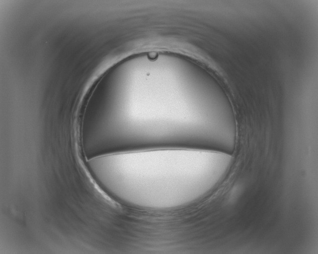 X0000080741517200612150919