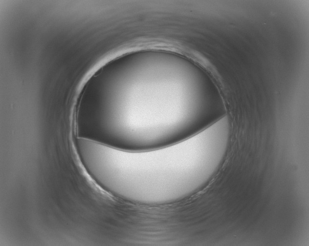 X0000080741520200612150919