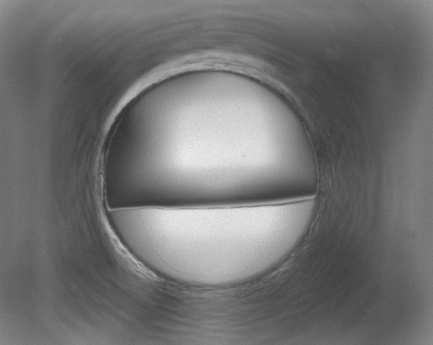 X0000080741522200612150919