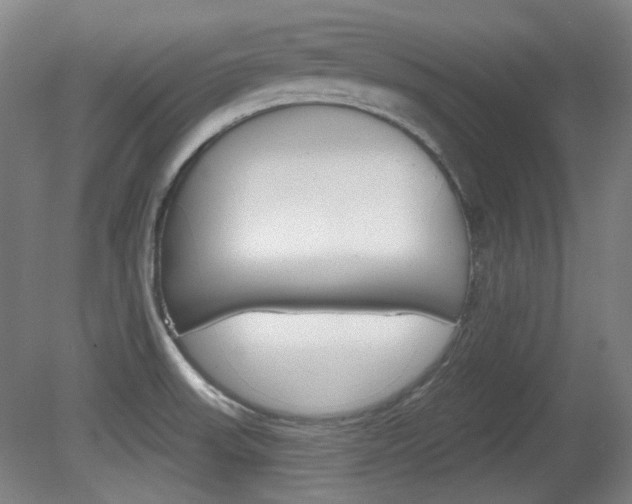 X0000080741523200612150919