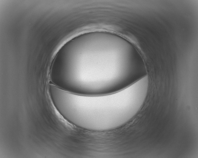 X0000080741524200612150919