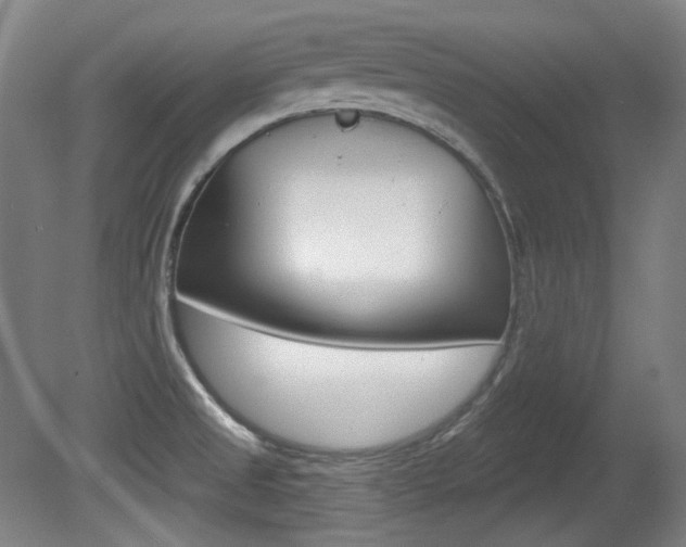 X0000080741525200612150919